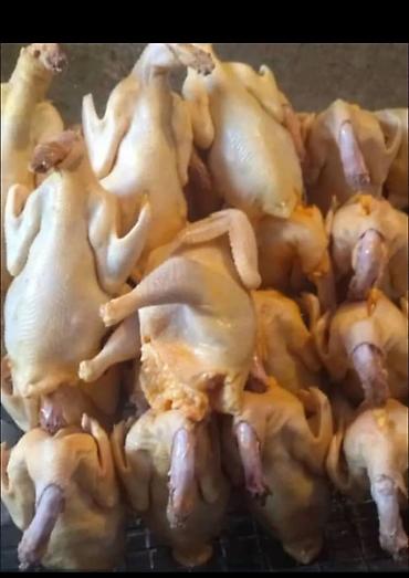 живой форел: 🐥🐥🐥 Халял❗️❗️❗️ Забой только сами делаем,строго по Шариату Куры — 5
