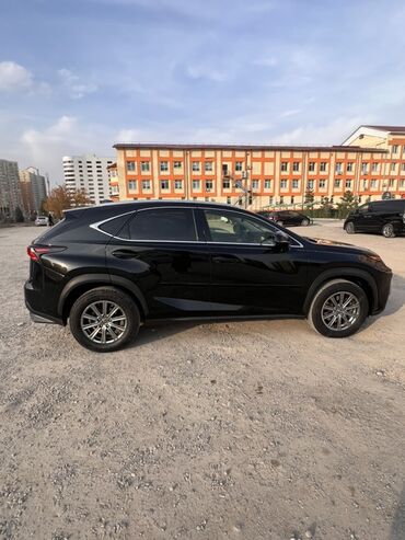runx alex: Lexus NX: 2018 г., 0.2 - engine capacity л, Бензин, Кроссовер