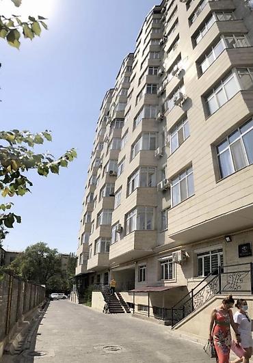 Долгосрочная аренда квартир: 2 комнаты, Собственник, С мебелью полностью — 12