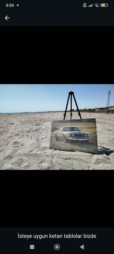 Şəkillər, tablolar: Kətan üzərində dekorativ tablolar - İstəyə uyğun fərdi dizaynlar — 11