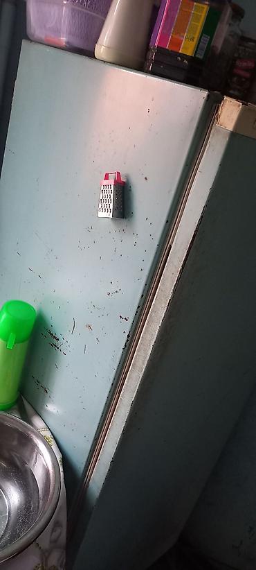 xaladenik satışı: Mətbəx üçün birqapılı soyuducu

TƏCİLİ satılır endirim var — 3