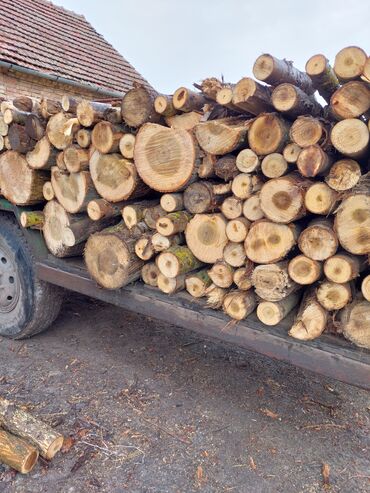 drva za ogrev: Drva na prodaju u metricama, cena 3500 metar. moguca dostava uz