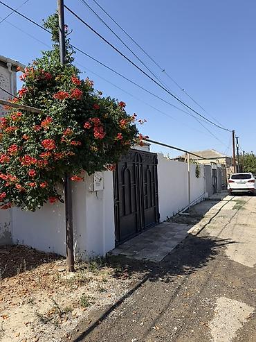 Həyət evləri və villaların satışı: 3 otaqlı, 125 kv. m, Orta təmir — 17