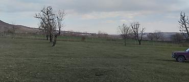 Torpaq sahələrinin satışı: Kənd təsərrüfatı — 9