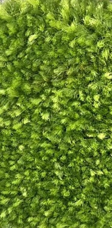 Ковролин: Ковровые покрытия - ковролин в серо-графитовой гамме: разнообразные — 6