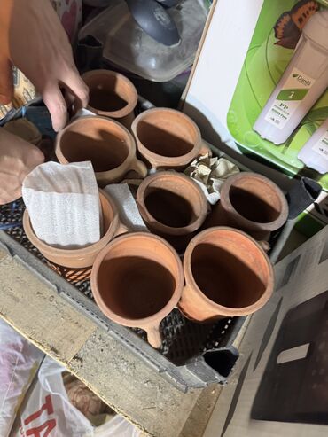 qedim qab: Piti qabları