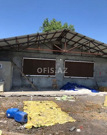 sumqayitda kiraye evler: Satış üçün: Tam avadanlıqlı toyuqçuluq-ferma obyekti Xüsusiyyətlər: - — 1