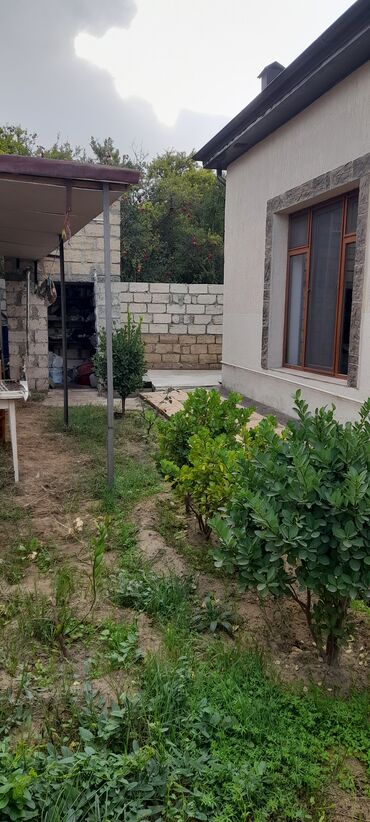 Bağ evlərinin satışı: Həyət evi– sənədləşdirilmiş sahibindən. ünvan Abşeron novxanı aparat — 10