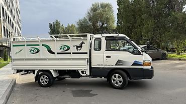 дефлекторы: Hyundai Porter: 2003 г., 2.6 л, Механика, Универсал — 6
