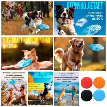 все породы собак с фотографиями: ПРОДАЮ ИГРУШКИ ДЛЯ СОБАК И КОШЕК,А ТАК ЖЕ