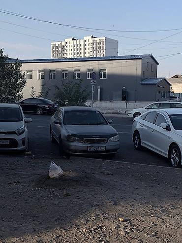 Продажа авто: Nissan Cefiro: 2002 г., 2 л, Автомат, Бензин, Седан — 3
