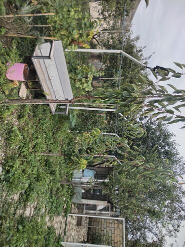 Həyət evləri və villaların satışı: 1 otaqlı, 36 kv. m, Yeni təmirli — 26