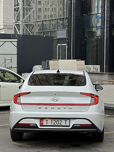 sonata: Hyundai Sonata: 2019 г., 2 л, Автомат, Бензин, Седан — 4