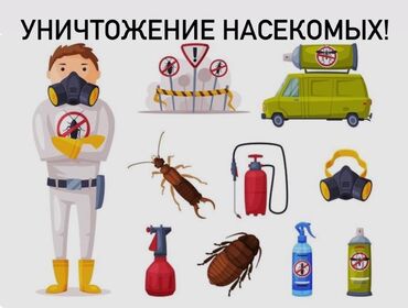 Дезинфекция, дезинсекция: Дезинфекция, дезинсекция | Тараканы, Вирусы, микробы, Обработка деревьев | Офисы, Транспорт, Квартиры