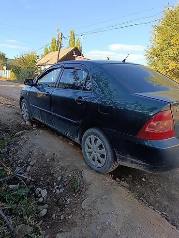 авто сатуу: Toyota Corolla: 2006 г., 1.6 л, Автомат, Бензин, Седан — 5