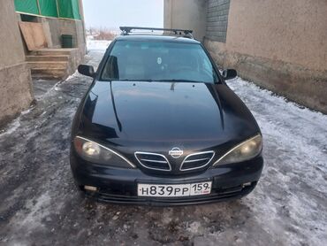 ниссан сефиро авто: Nissan Primera: 2000 г., 1.8 л, Механика, Бензин, Универсал