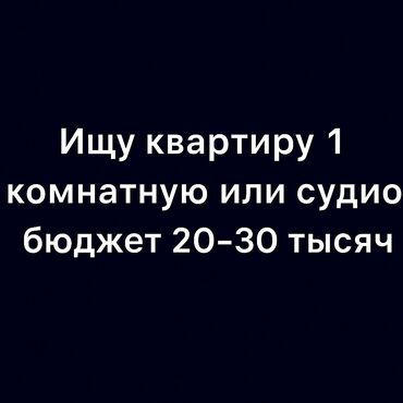 здаю квартиру рабочий городок: Студия, Собственник, Без подселения