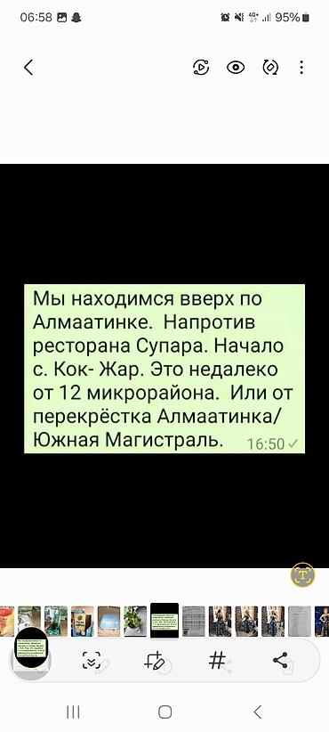 кормовые дрожжи цена: Продаю аквариумные растения валиснерия. цена за 1 кустик 30 сом — 4