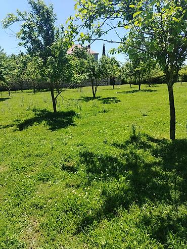 ismayilli torpaq: Quba rayonuna 2 km mesafede Alekseyevka kendinde 4 sot torpaq sahəsi — 4
