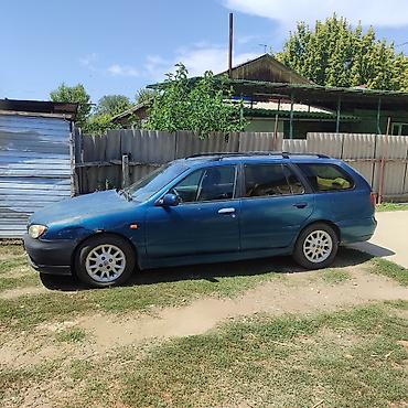 эшке: Nissan Primera: 2001 г., Универсал — 3
