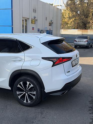 ford rapter: Lexus NX: 2019 г., 2 л, Автомат, Бензин, Кроссовер — 3