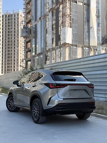куплю на лексус: Lexus NX: 2023 г., 2.4 л, Автомат, Бензин, Кроссовер — 5
