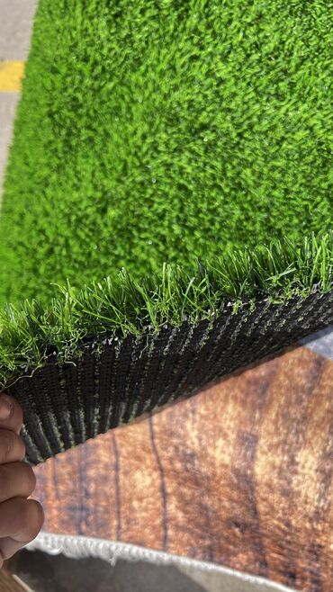 Toxumlar: 10 azn baslayan qiymetler Suni qazonlarin topdan satisi Suni qazon -da lalafo.az — 21 Toxumlar: 10 azn baslayan qiymetler Suni qazonlarin topdan satisi Suni qazon — 21