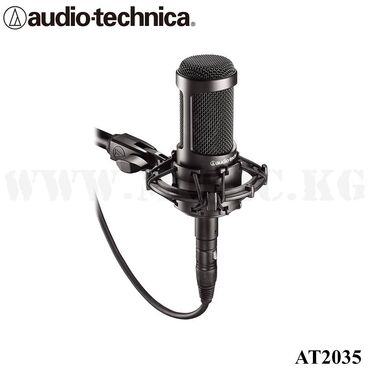 Флейты: Конденсаторный микрофон Audio-Technica AT2035 AT2035 - универсальный