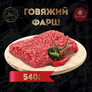 авган кой: КФХ «БАГЫШ» Реализует мясо оптом и в розницу! Говядина собственного