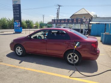 двухсотка машина: Toyota Corolla: 2002 г., 1.8 л, Автомат, Газ, Седан