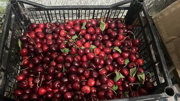 Фрукты: Черешня домашние, есть 5кг
