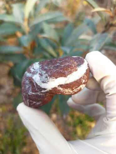 Qiymətli daşlar: 💎 Təbii JASPER Daşı😍 Qiymətlə bağlı maraqlananlar zəhmət olmasa — 3