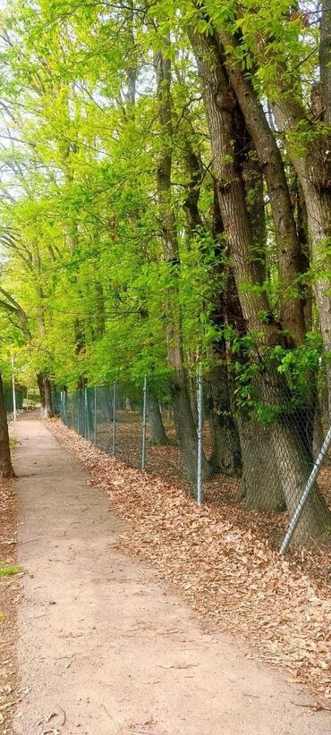 Günlük kirayə evlər: 120 kv. m, 3 otaqlı, Qaz, İşıq, Su — 30