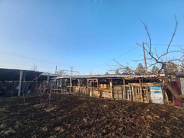 Продажа участков: 9 соток, Для строительства, Красная книга, Тех паспорт — 4