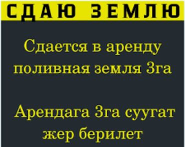 кок джар ж м: 3 соток Айыл чарба үчүн