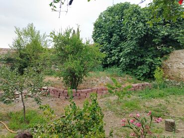 Həyət evləri və villaların satışı: 4 otaqlı, 115 kv. m, Yeni təmirli — 14