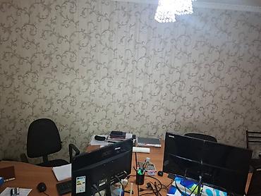Долгосрочная аренда квартир: Сдается 4х ком кв под офис площадь:100 кв м2 Токтогула/Турусбекова — 13