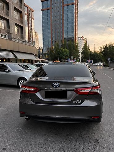 поддон камри: Toyota Camry: 2018 г., Гибрид, Седан — 2