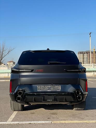 BMW: BMW : 2023 г., 4.4 л, Автомат, Бензин, Кроссовер — 6