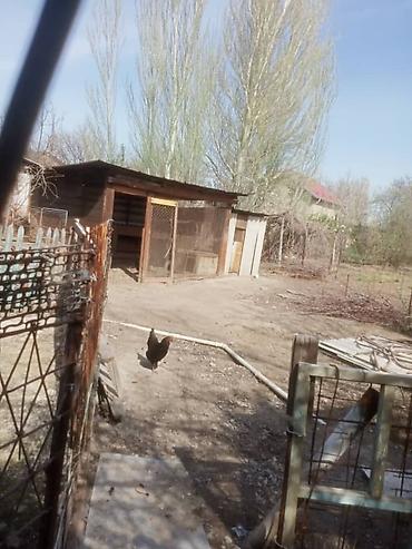 Продажа коттеджей и домов: Продаётся дом с участком в частном секторе. - Кирпичный забор по — 12