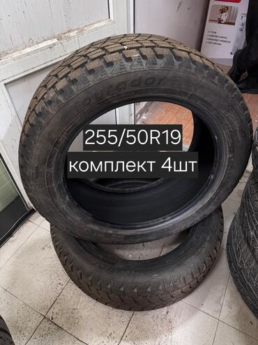 шины разноширокие: Шиналар 255 / 50 / R 19, Кыш, Комплект, Жол тандабастар (АТ/МТ)
