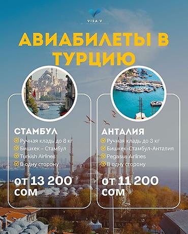 визу америку: Виза в Китай, Дубай, США и Е-ВИЗА Авиабилеты и туры! Тел — 4