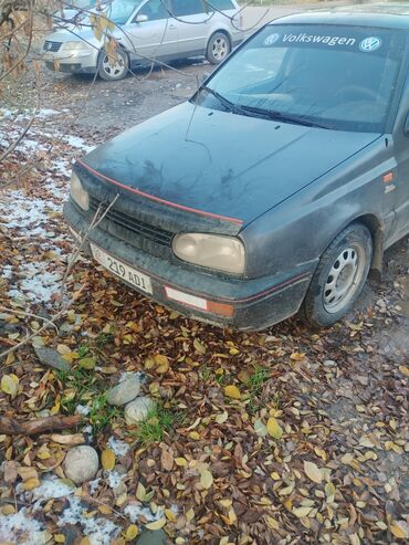 Volkswagen: Volkswagen Golf: 1993 г., 1.8 л, Механика, Бензин, Хэтчбэк