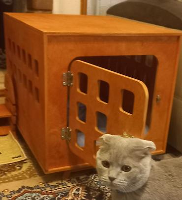 mops it: Taxta ev/kennel – pişiklər və balaca cins itlər üçün. - Material — 2
