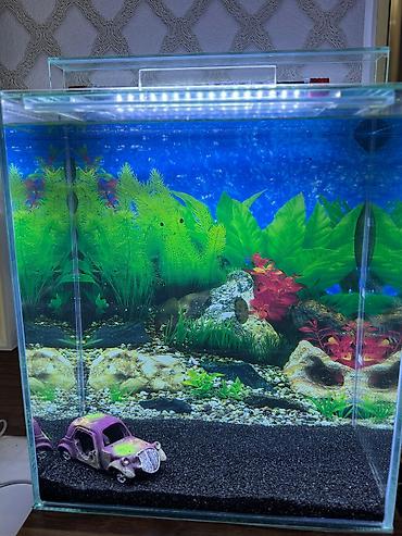 Akvariumlar: Salam istənilən ölçüdə akvarium və terariumlar yığıram nömrədə vhatsap — 3