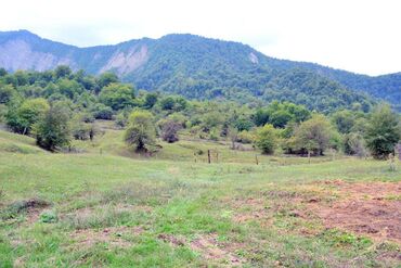 Torpaq sahələrinin satışı: 80 sot, Biznes üçün, Barter mümkündür, Kupça (Çıxarış) — 11