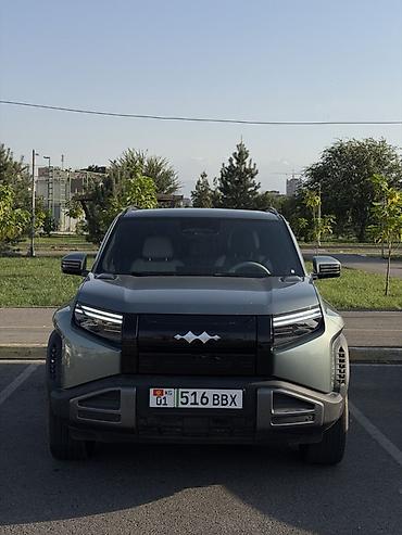 слиф понтеры: BYD FangChengBao Leopard 3: 2025 г., Электромобиль, Кроссовер — 1