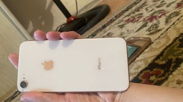 чехлы на iphone 5s: IPhone 8, Белый, Чехол