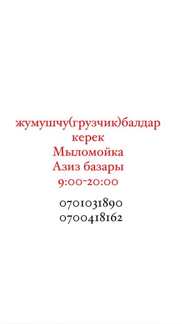 оператор керек: Мыломойкага жардамчы балдар керек