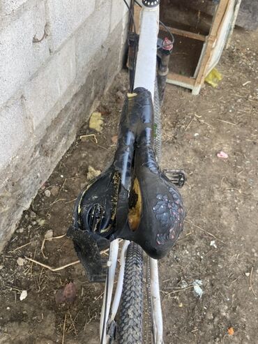 Горные велосипеды: Горный велосипед, Рама M (156 - 178 см), Сталь — 8